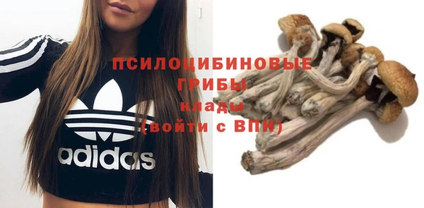 мдпв Волоколамск