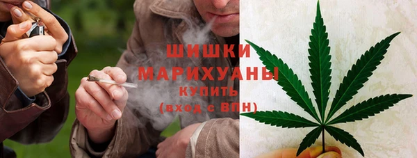 мдпв Волоколамск