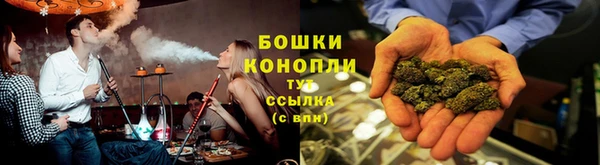 мдпв Волоколамск
