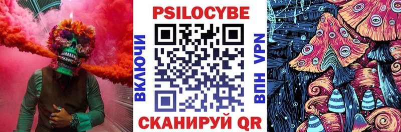 Купить где  Демидов  Галлюциногенные грибы Magic Shrooms 
